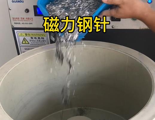 东至不锈钢箍用钢针